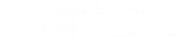 Paiement 100% sécurisé : American Express, Apple Pay, MasterCard, PayPal, Visa